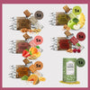 Frühlings Starter-Set